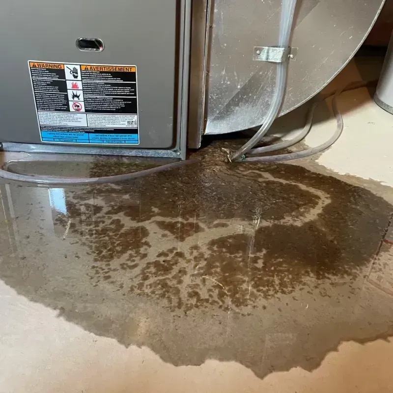 Appliance Leak Cleanup in Sayre, OK